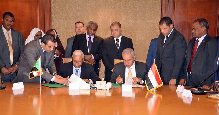 Egyptian-Sudanese Joint Committee